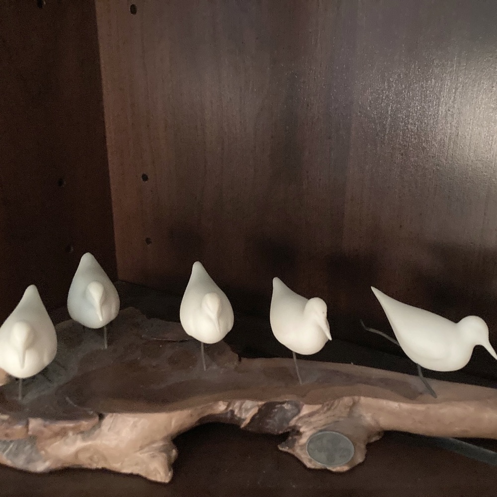 John Perry White Seagulls on burl wood